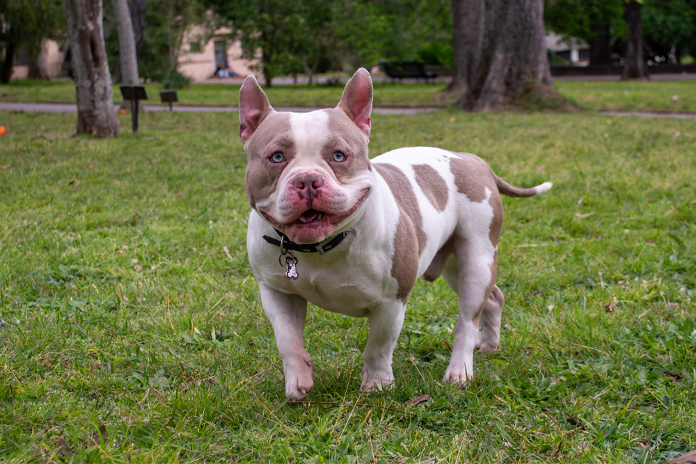 Adrian Barthou Fotografía Deportiva